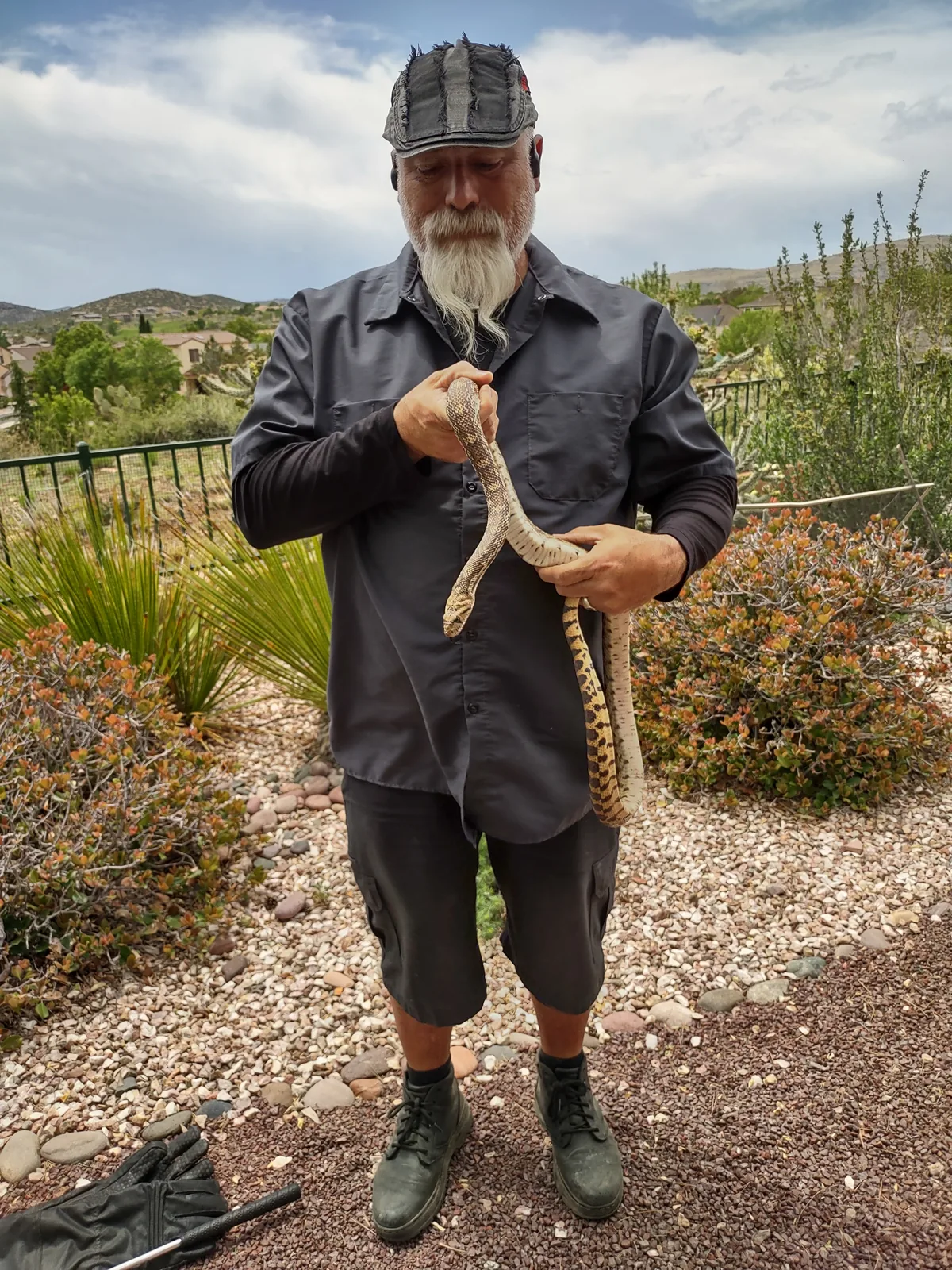 A SnakeSave rescuer holding a nonvenomous snake during a relocation.